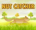 Nut Catcher